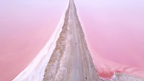 Erstaunliche-Antenne-über-Einer-Frau,-Die-Auf-Einer-Bunten-Rosa-Salzseeregion-In-Namibia-Joggt-Oder-Läuft