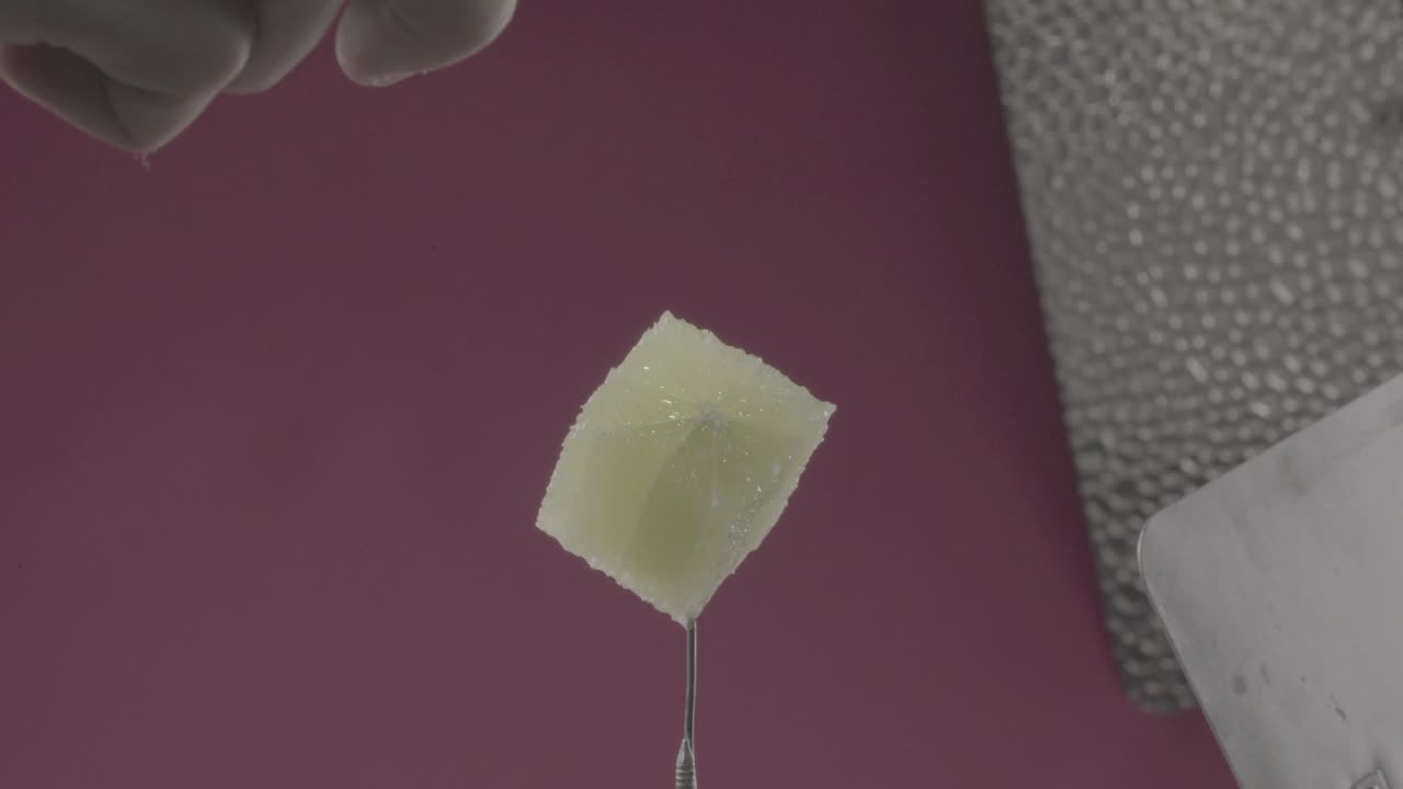 limón girando con bucle en la pantalla de fucsia para la llave de croma