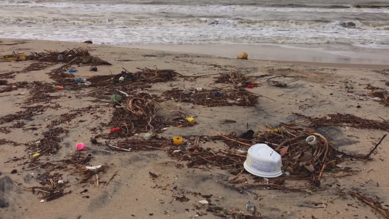 basura a la deriva en una playa caribeña muy contaminada