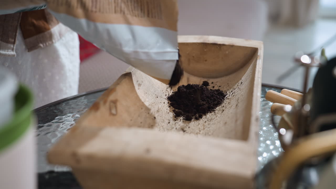 Hand view of female gardener wearing white gloves pouring black sand from cut open bag into wooden container on glass table beside green indoor plants against white brick wall in cozy greenhouse