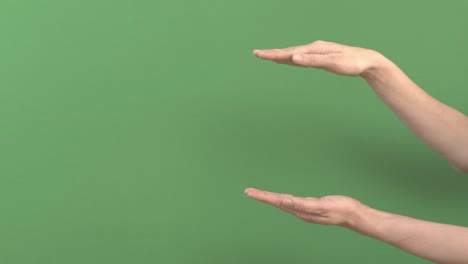 woman holding hands as showing something virtual and invisible between palms. female hands extending copy space for advertisement on green screen chroma key background