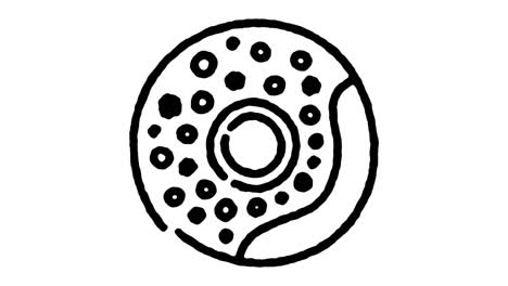 donut recipe hand draw line icon animation