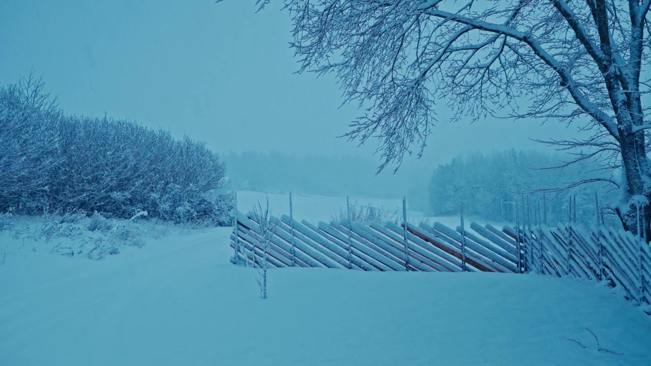 Rustikt træhegn i tyk tåge og sne om vinteren. Vidvinkelbillede.