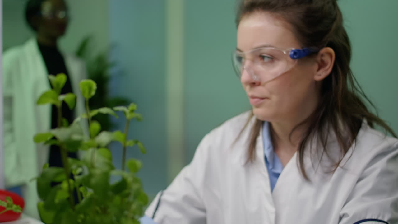 Closeup of botanist woman checking sapling for agriculture experiment
