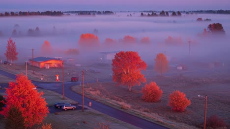a serene autumn morning: vibrant red foliage and misty horizons illuminate a quiet countryside landscape in early dawn light