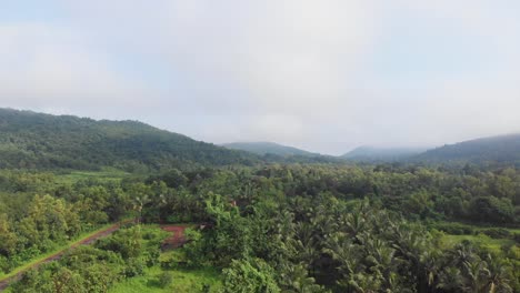 Tiro-De-Drone-Jungal-De-Maharashtra-Konkan-India-Cocotero