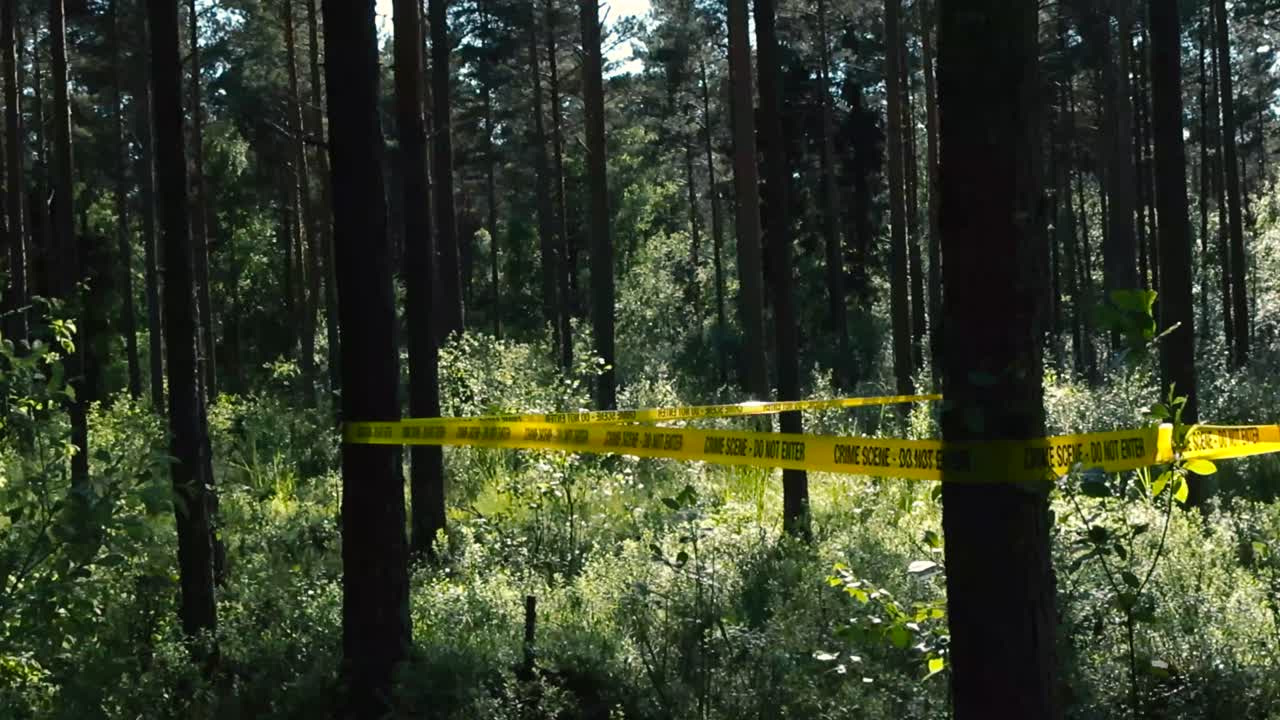 Investigation area separated with a yellow crime scene Do not enter tape ribbon that is moving in slow motion in the wind. Tape pulled around trees in a sunny dense and dark forest during summer day