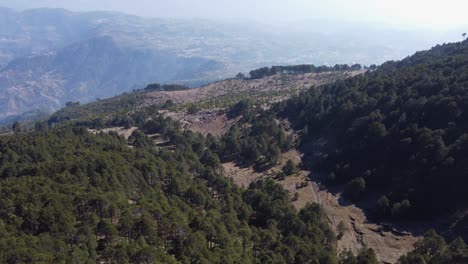 Hazy-sky-aerial-flyover:-New-trees-grow-on-volcanic-mountain-plateau