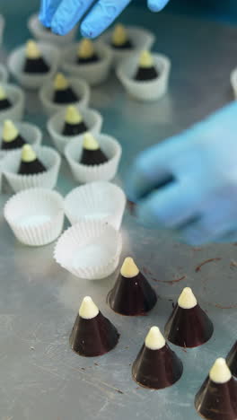 confectionery specialist hands in gloves making tasty candies. baker hands making chocolate candies. vertical video