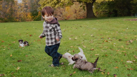 An-energetic-Asian-toddler-runs-away-from-small-puppies.-Puppies-run-after-the-baby-on-the-lawn