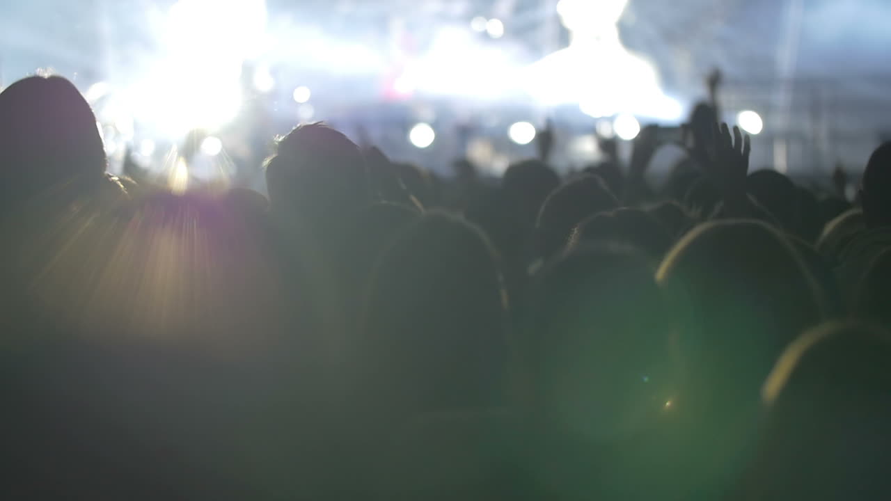 Persone in piedi che guardano lo spettacolo della band musicale