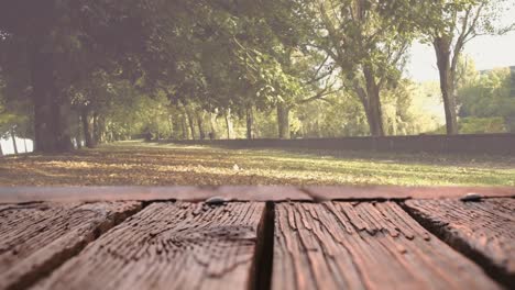 Holzdeck-Und-Ein-Teil