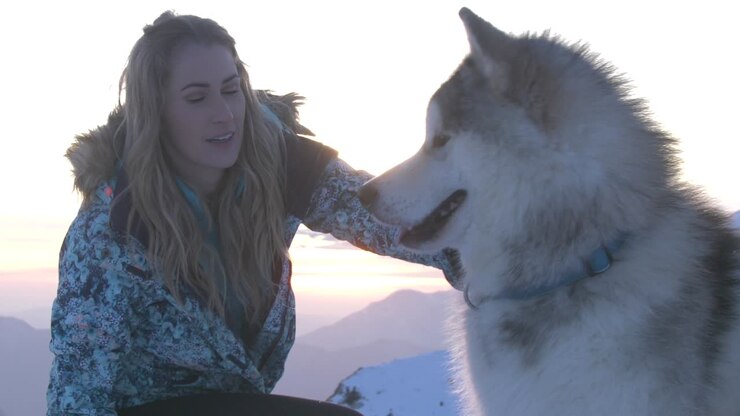 Bella giovane donna sorridente che accarezza un grande cane soffice in montagna, al tramonto, in slow motion.