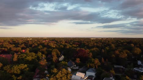 Sun-low-on-the-horizon-golden-trees-big-sky