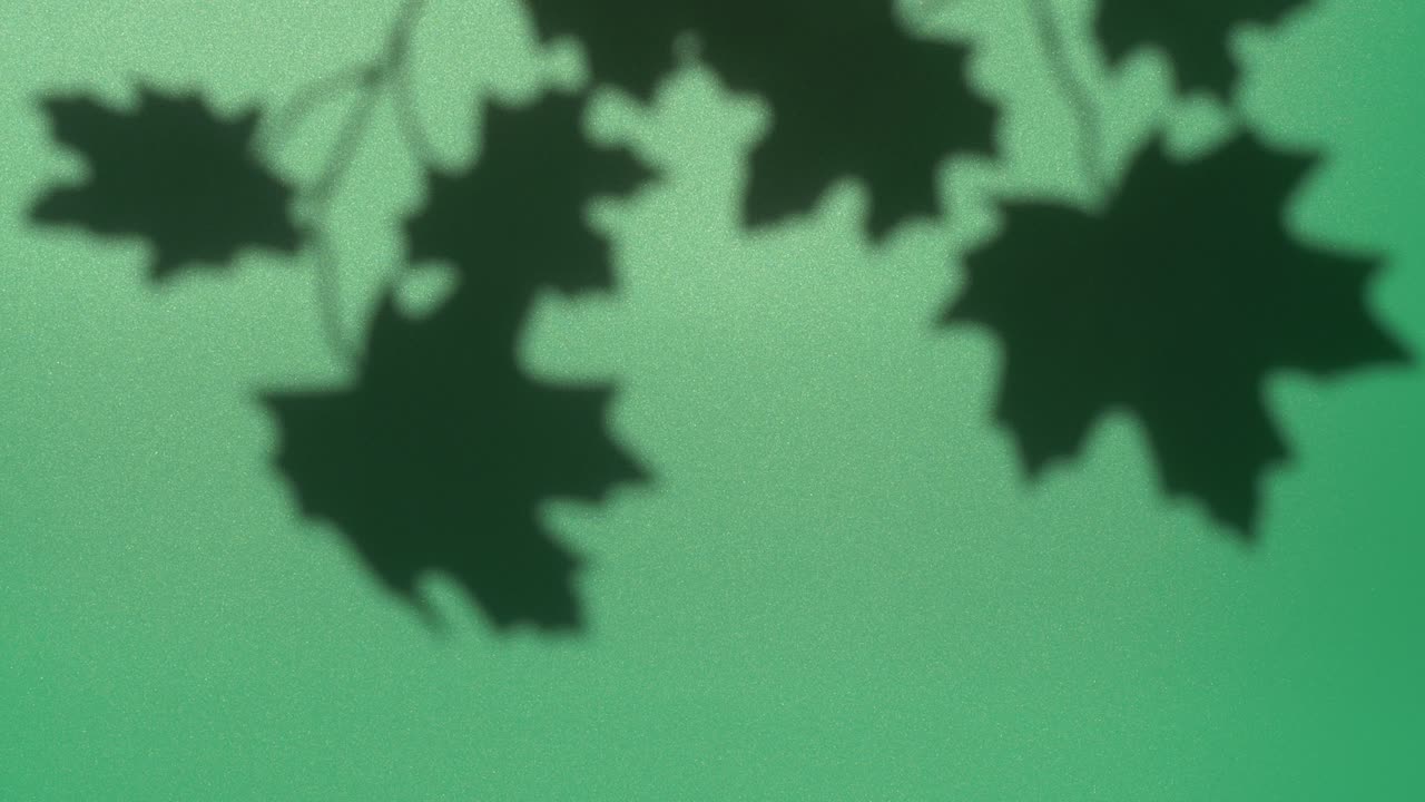 Abstract nature background of leaves shadow silhouette on wall moving by wind