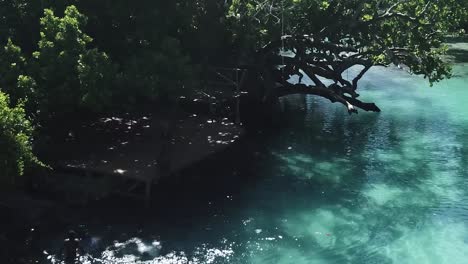 people playing and jumping into blue lagoon vanuatu