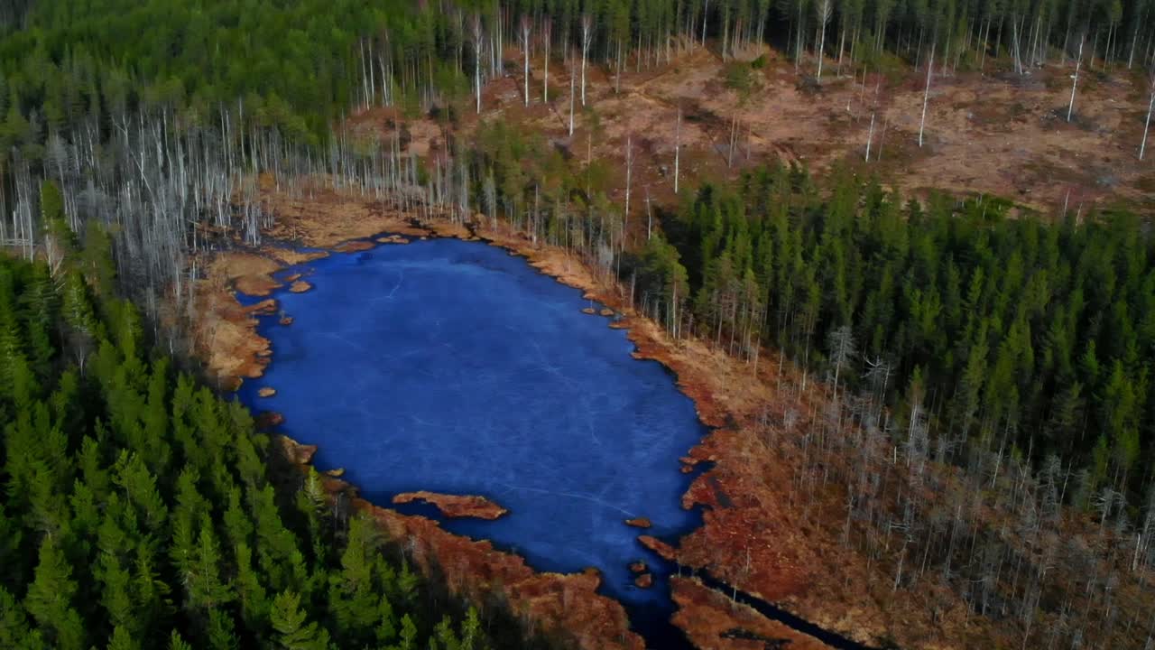 Ripresa con drone di un piccolo lago ghiacciato nella foresta in Svezia