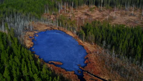 Drone-shot-of-a-small-frozen-lake-in-the-forest-in-Sweden