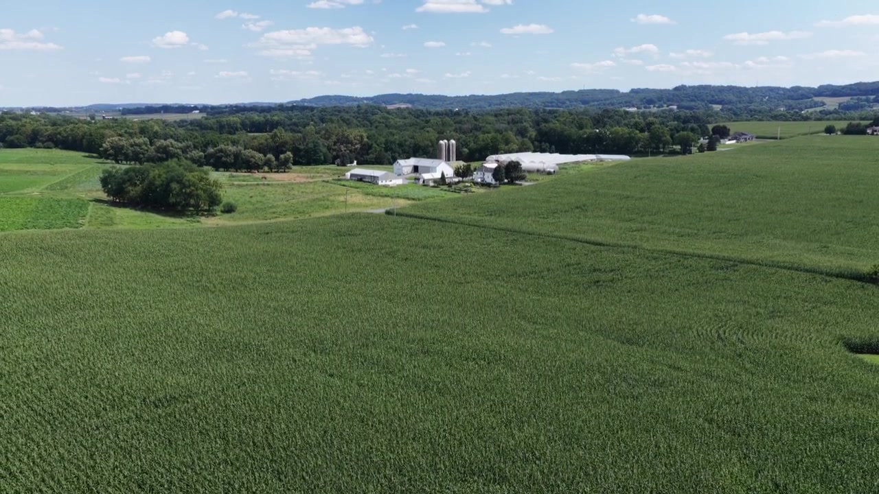 Tæt sojabønnefelt strækker sig mod to kornsiloer og en hvid lade på bølgende landbrugsjord i Pennsylvania, skovklædte bakker rejser sig under spredte skyer og klar sommerhimmel. Luftfoto med stigende drone.