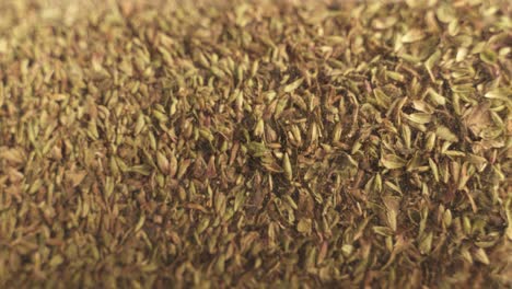 close up of green organic oregano herbs on turntable platform