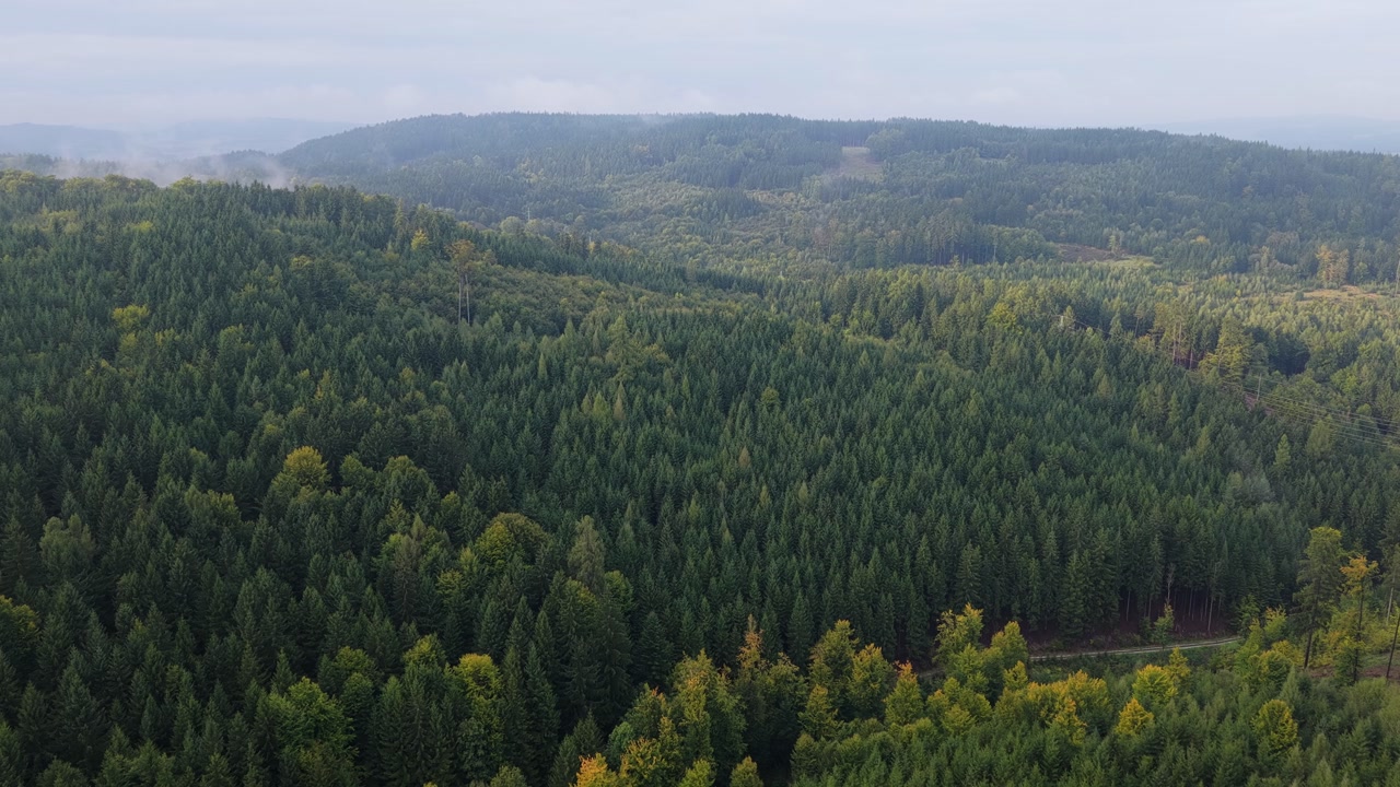 Forest emerging from the fog from an aerial view. Czech landscape in autumn. Mysterious morning