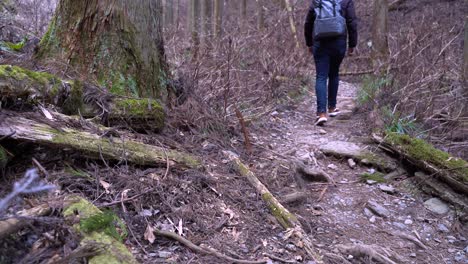 un joven excursionista cansado caminando por el espeluznante camino de la montaña con su mochila - tiro medio