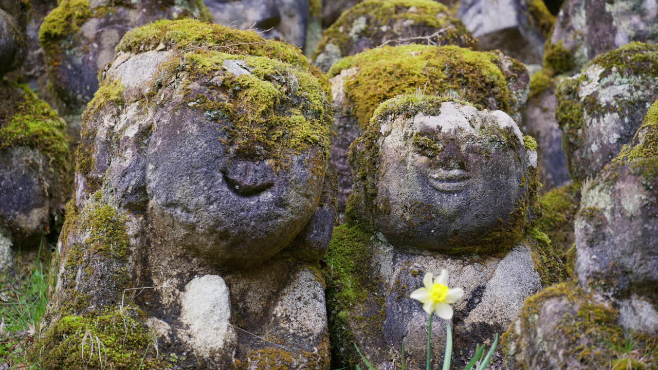Moss-covered arhat statues covering the hillside around the temple grounds at the Otagi Nenbutsuji Temple in Kyoto, Japan