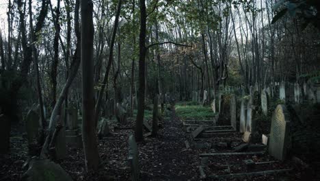 A-wooded-path-through-the-English-cemetery