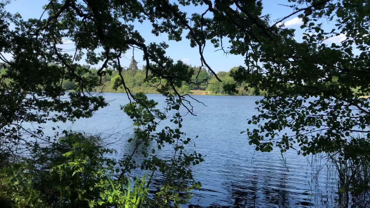 Timelapse of a lake in a park.