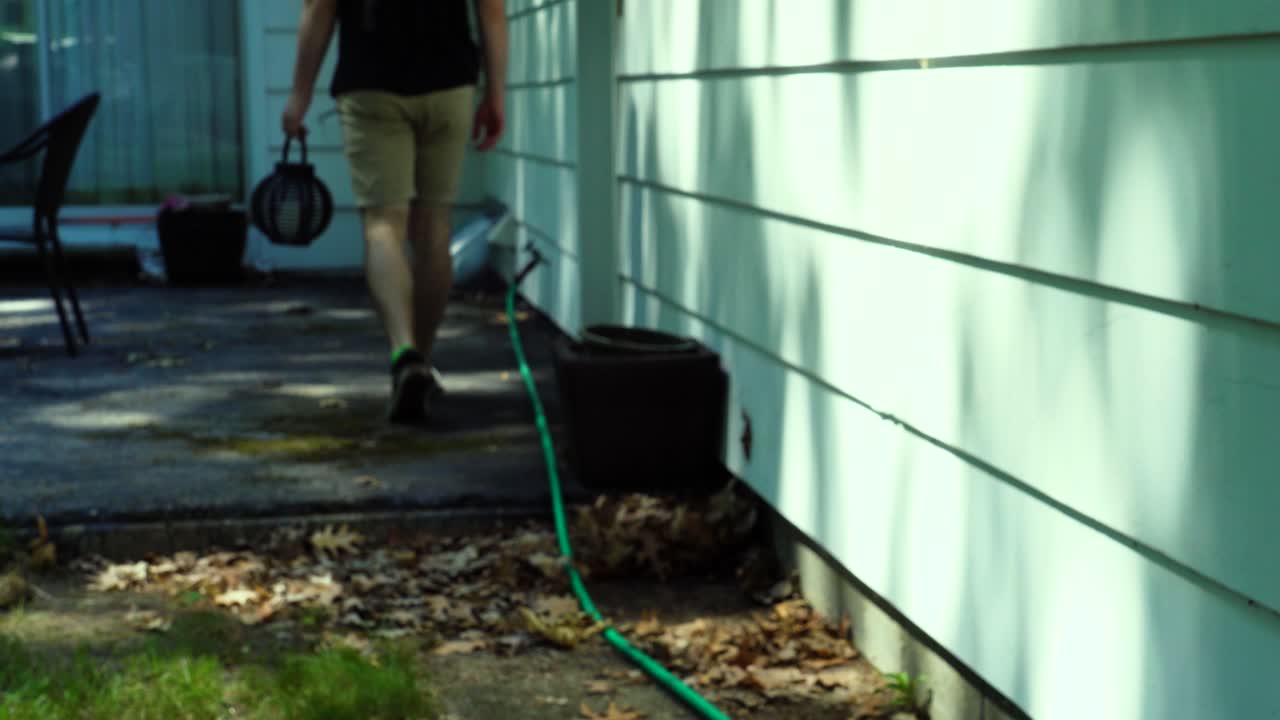 se muestran los tonos verdes