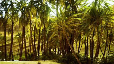lush palm trees basking in golden sunlight in a tranquil oasis setting