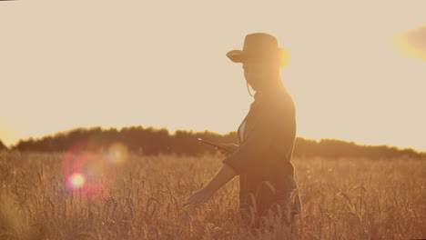 Close-up-of-a-woman-farmer-in-a-hat-and-a-plaid-shirt-touches-the-sprouts-and-seeds-of-rye-examines-and-enters-data-into-the-tablet-computer-is-in-the-field-at-sunset