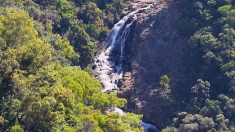 drone footage captures a cascading waterfall amidst dense, vibrant rainforest under bright daylight, showcasing natural beauty and tranquility