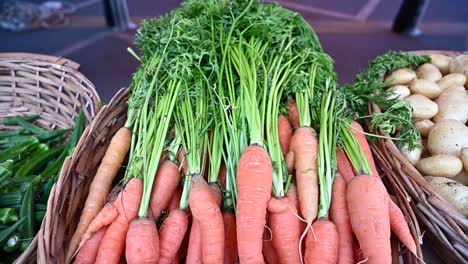 at the agriculture festival in the united arab emirates, locally grown carrots are showcased and offered for sale