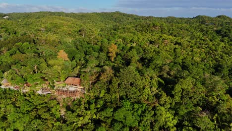 Circular-drone-footage-of-jungle-of-Siquijor-in-the-Philippines