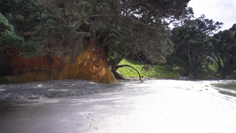 Indian-ocean,-Maroni,-Guyane,-Guyana,-point-of-view,-Suriname,-French-Guiana,-tourism,-clouds,-equatorial,-trees,-bends,-summer,-beautiful,-canopy,-indigenous