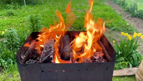 flames flicker on grill in nature surrounded by flowers and grass and simple barbecue in scenic setting