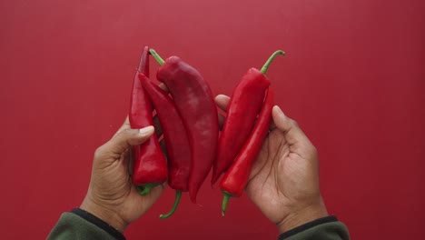 Hands holding red chili peppers