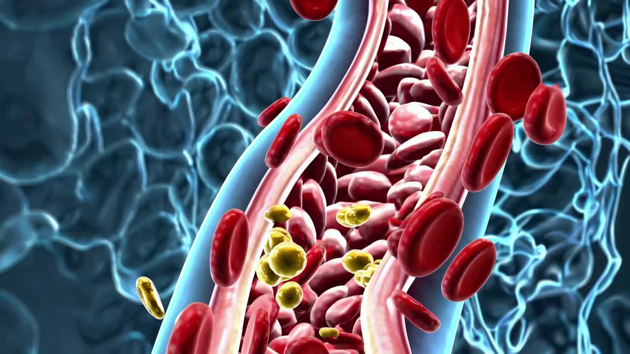 Une vue rapprochée et en angle d'une circulation sanguine rendue en 3D, avec des globules rouges et du cholestérol