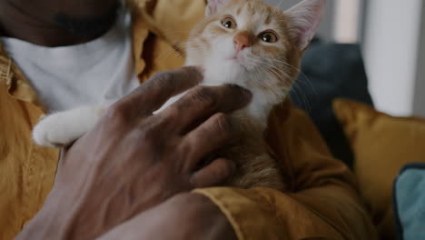 man holding a ginger kitten