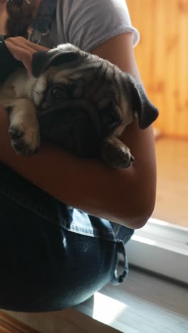 una niña con un cachorro