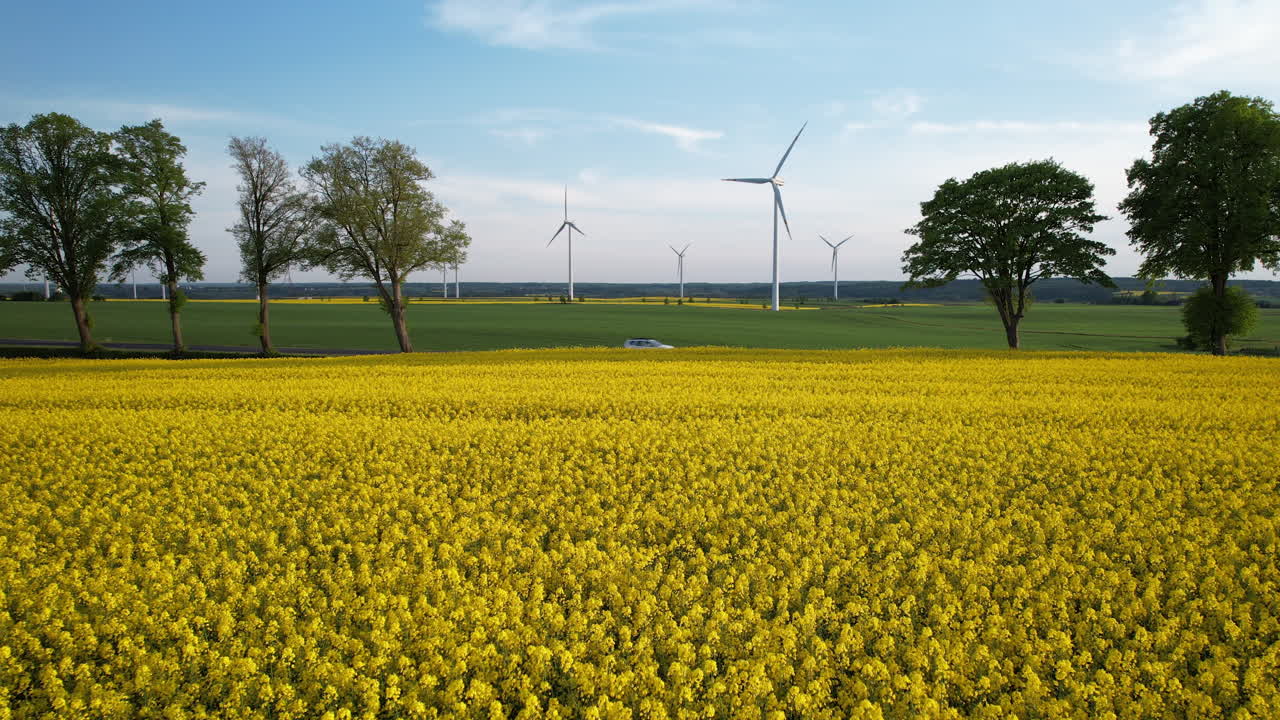 빨리 달리는 자동차가 있는 거리를 향해 노란색 라프시드 위의 낮은 느린 비행기