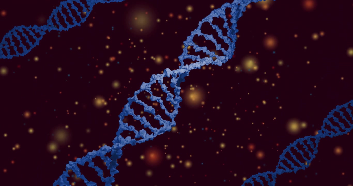 Al caricamento, una griglia a elica di DNA 9x7 si sposta e ruota, rivelando varianti per mostrare le opzioni di design.
