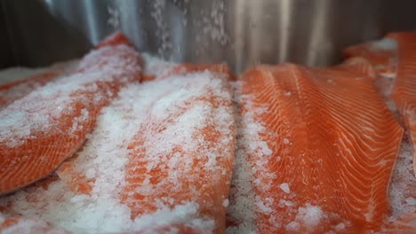 rock salt sprinkling traditonal method of preserving salmon fish