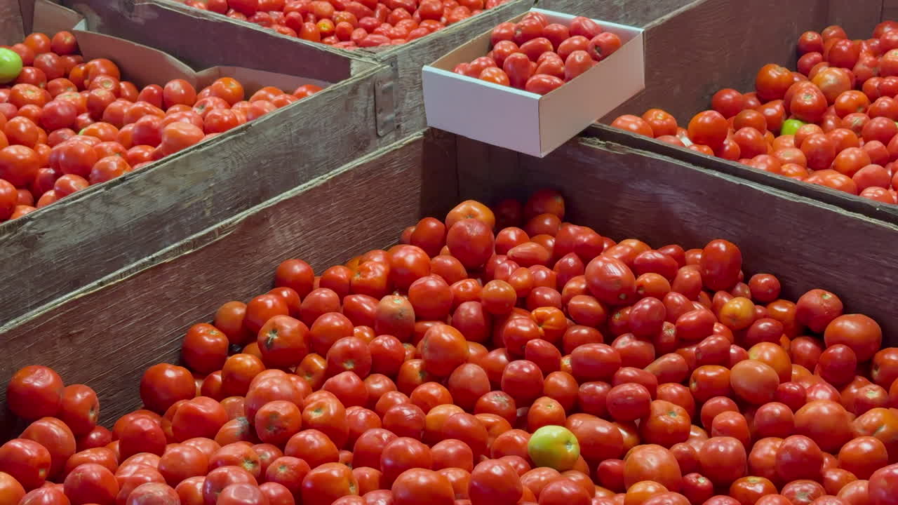 Seasonal tomatoes stacked in abundance for a farm-market display.