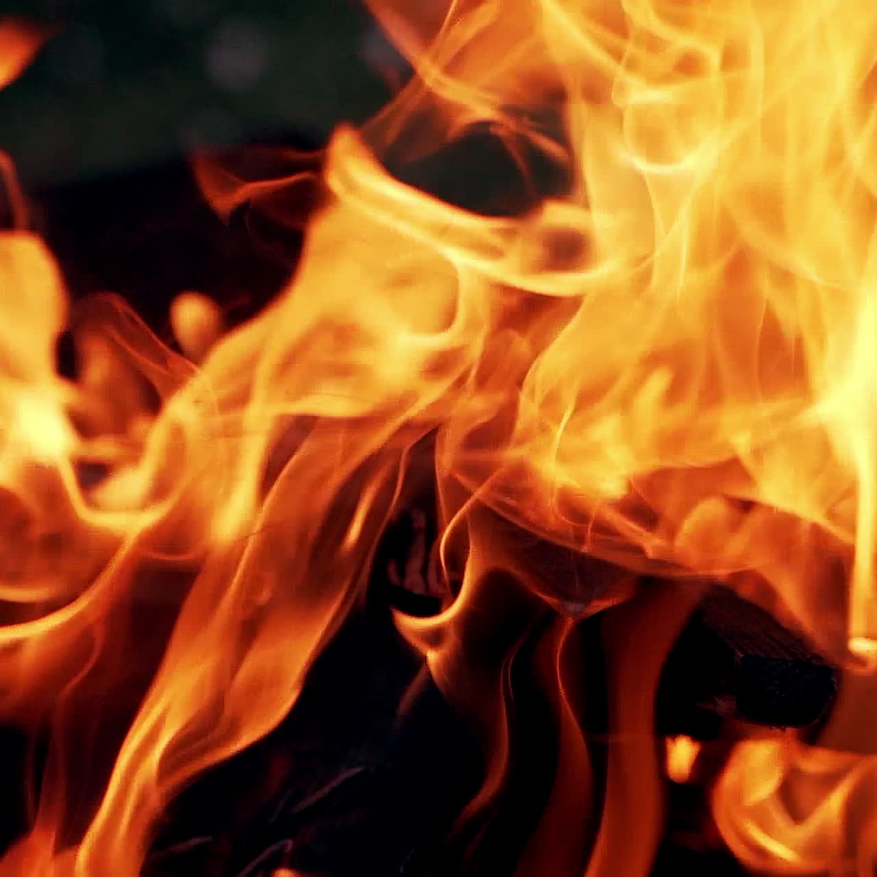 Orange fire flames in campfire. Beautiful view of bright flames outdoor. Burning logs in bonfire. Close-up.