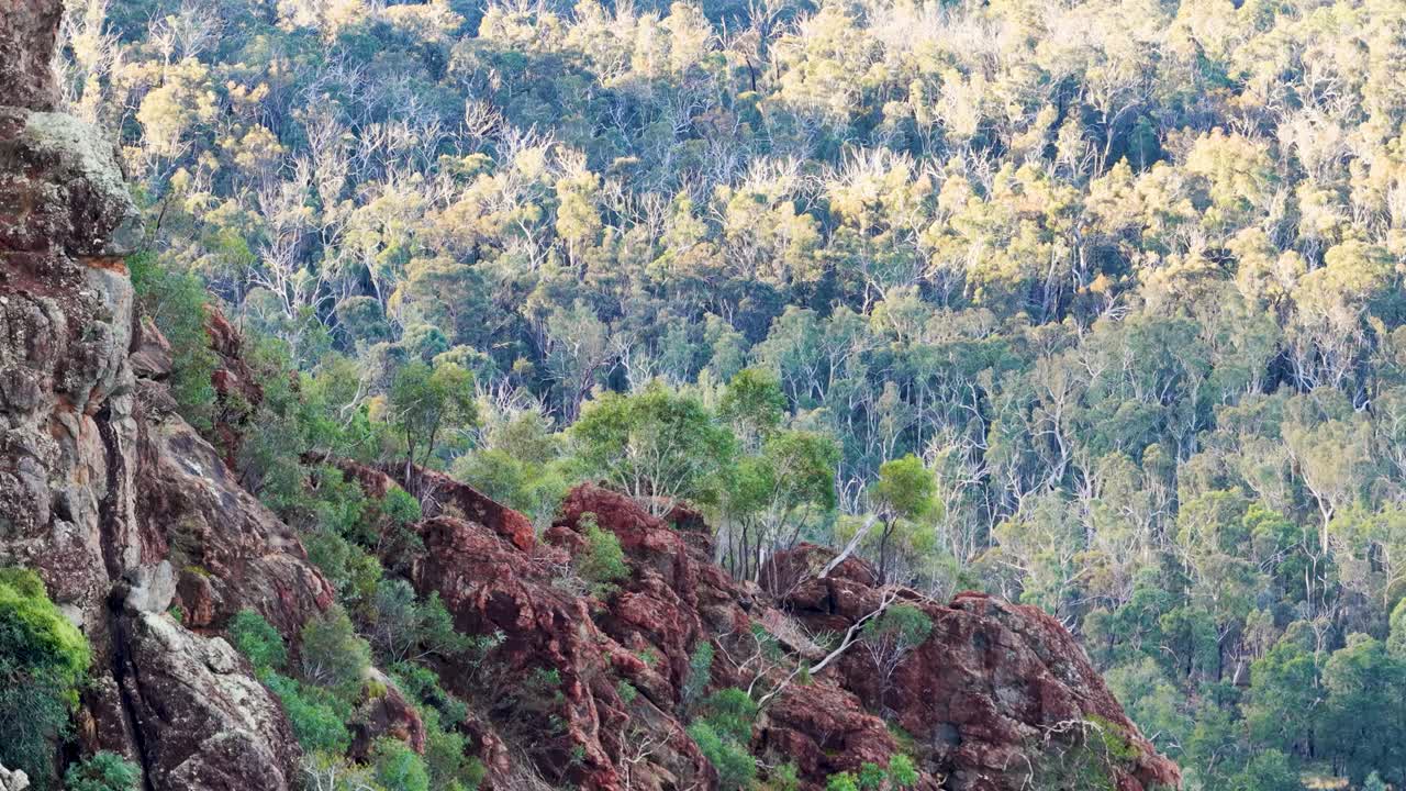 Drone pans across rugged volcanic outcrop, sandstone cliffs, and dense Australian bushland at sunset