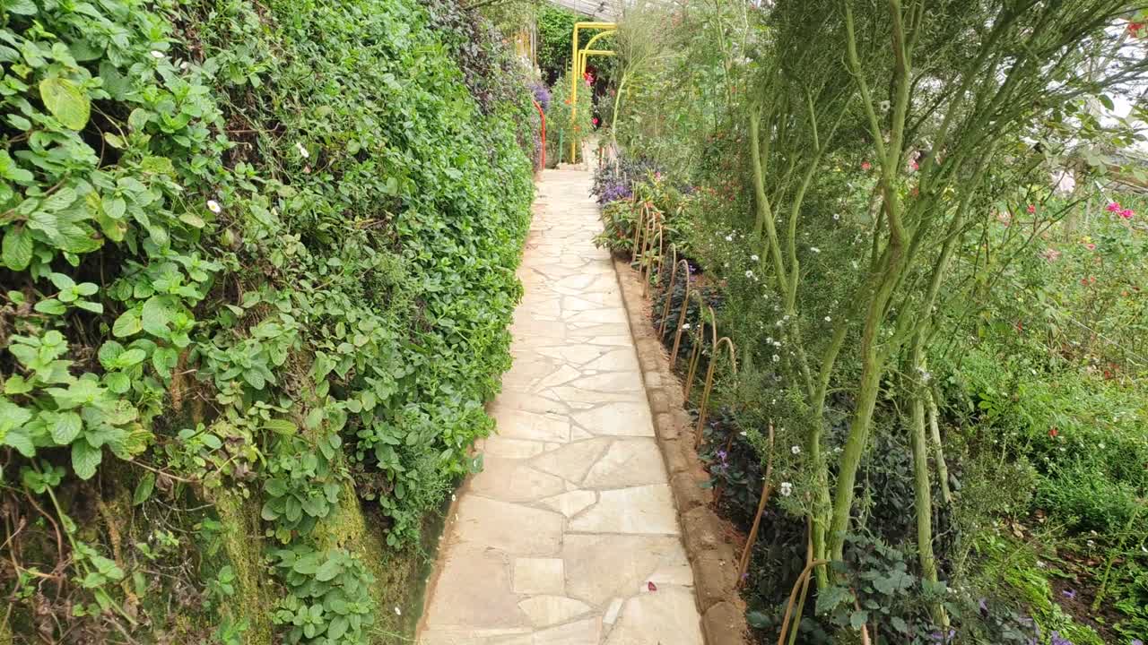 카메론 하이랜드 말레이시아의 아름다운 꽃과 풀