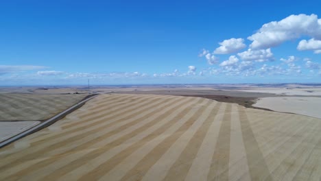 vista aérea del campo 4k