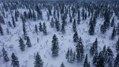 Ciclistas-Eléctricos-En-Bicicleta-En-Medio-De-Bosques-Nevados,-Día-De-Invierno-Oscuro-Y-Nublado-En-Laponia---Disparo-De-Drones